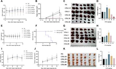 Promotion of tumor angiogenesis and growth induced by low-dose antineoplastic agents via bone-marrow-derived cells in tumor tissues